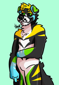 Halfbody for Keym the Collie